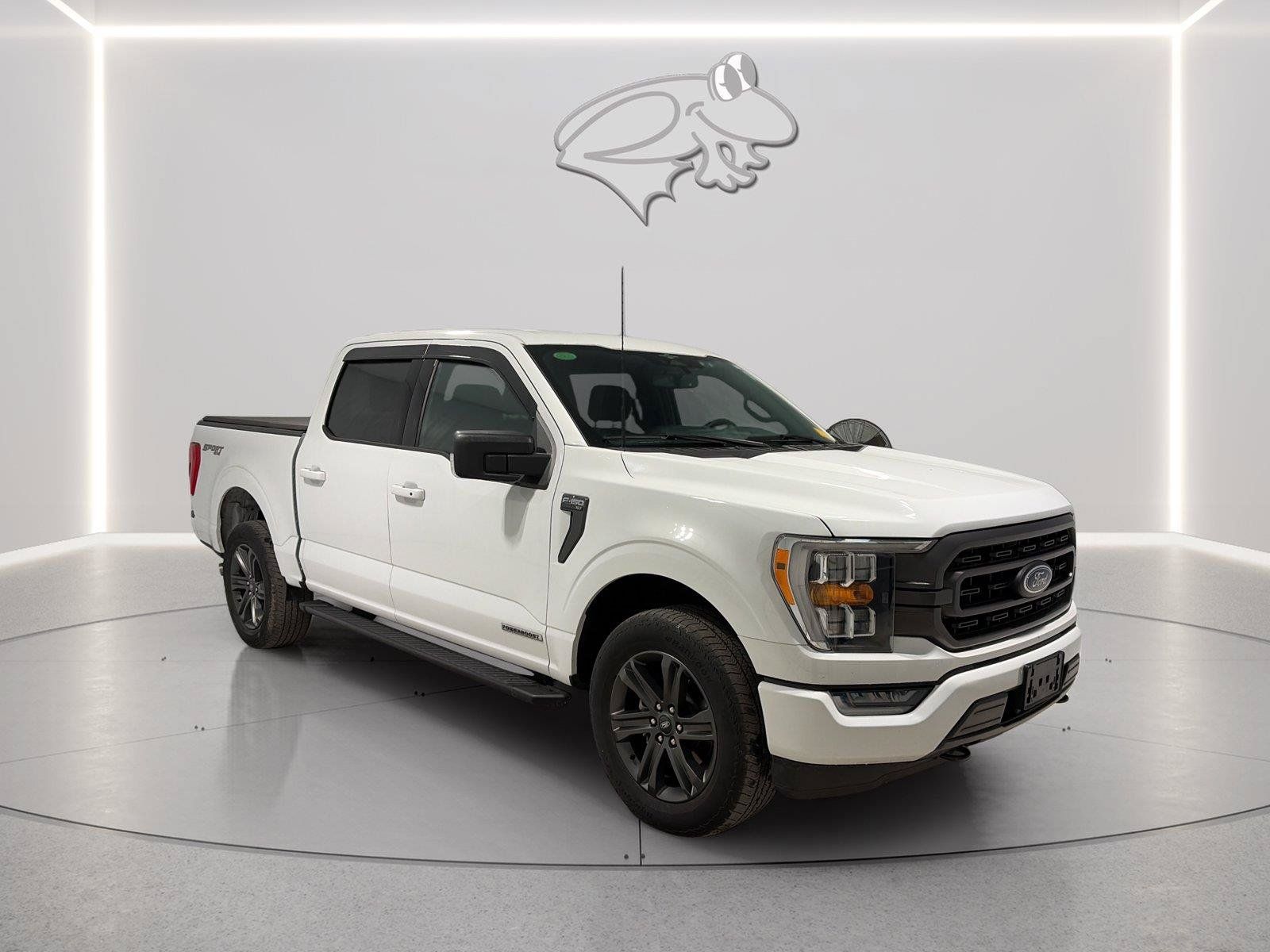 Used 2023 Ford F150 XLT w/ Equipment Group 302A High AWD/4WD image 7