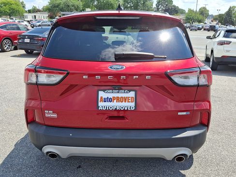 Used 2020 Ford Escape SE AWD/4WD image 5