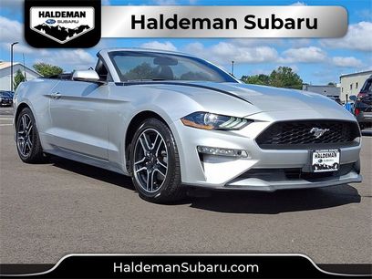 Used 2019 Ford Mustang Premium