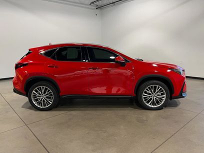 Used 2025 Lexus NX 300h NX 350h Luxury