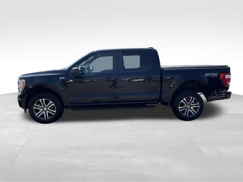 Used 2021 Ford F150 XL w/ STX Appearance Package AWD/4WD image 7