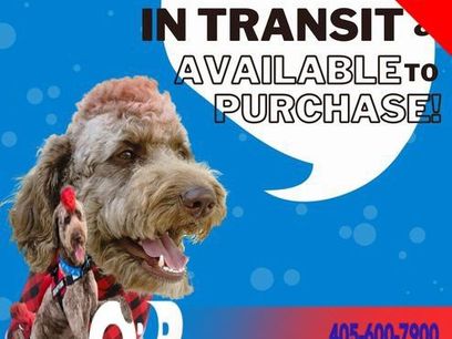 New 2025 Nissan Altima 2.5 SL