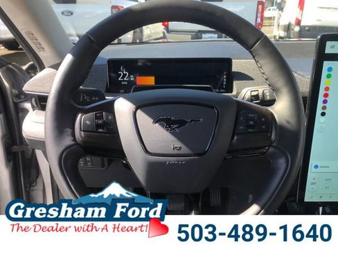 Used 2021 Ford Mustang Mach-E Premium image 17