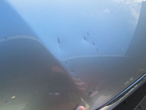 Used 2024 Ford Escape Active w/ Tech Pack #1 image 4