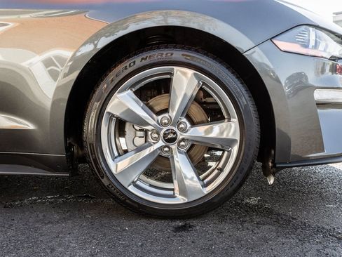 Used 2019 Ford Mustang Premium w/ Equipment Group 201A image 4