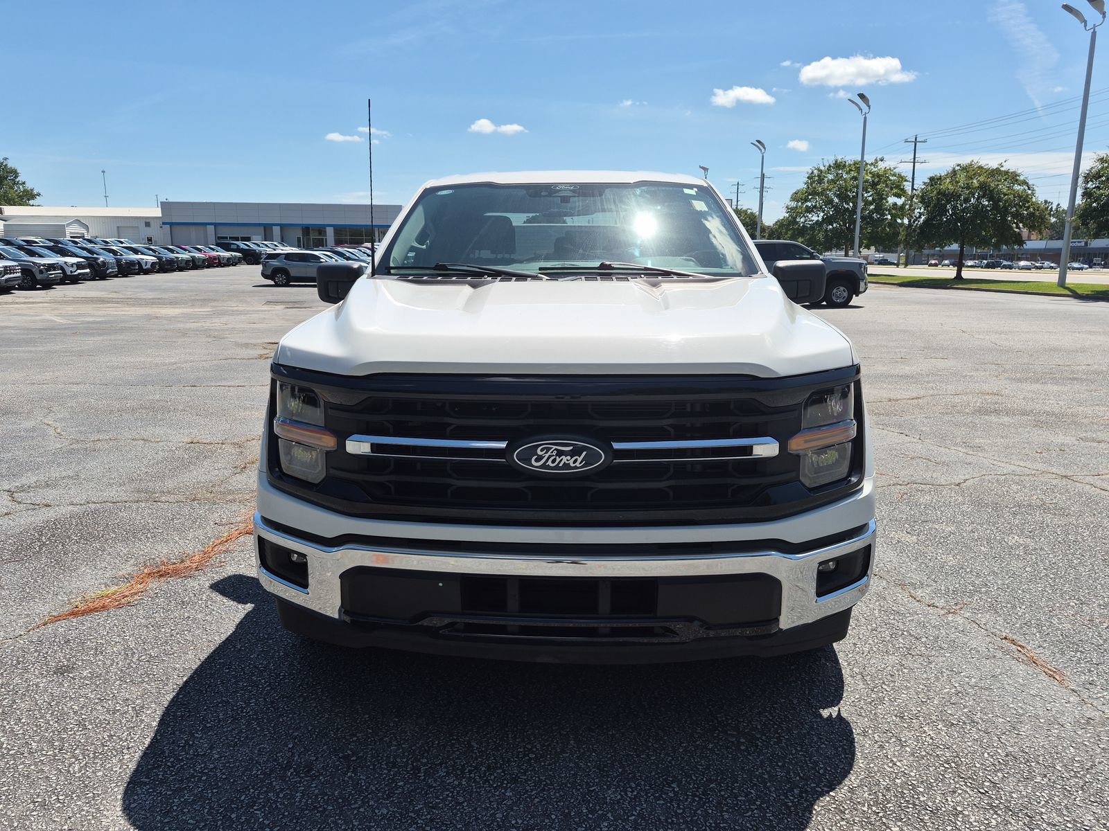 Used 2025 Ford F150 XLT w/ Equipment Group 301A Standard RWD image 4
