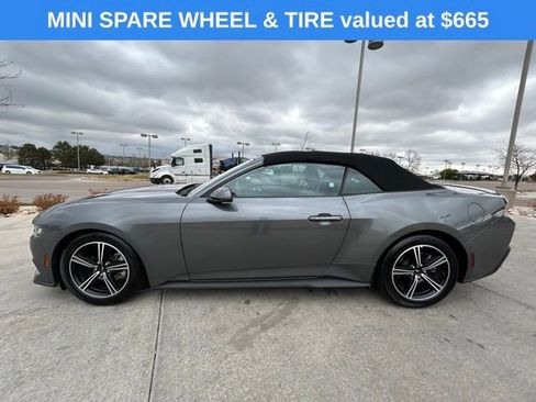 Used 2025 Ford Mustang Premium RWD image 4