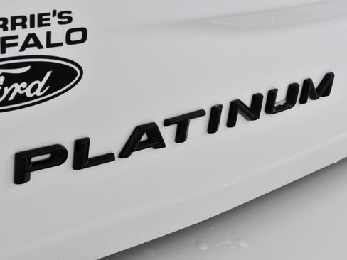 New 2026 Ford Expedition Max Platinum w/ Stealth Appearance Package image 23