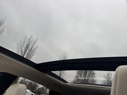 Certified 2025 Lexus RX 350 350h Luxury image 30