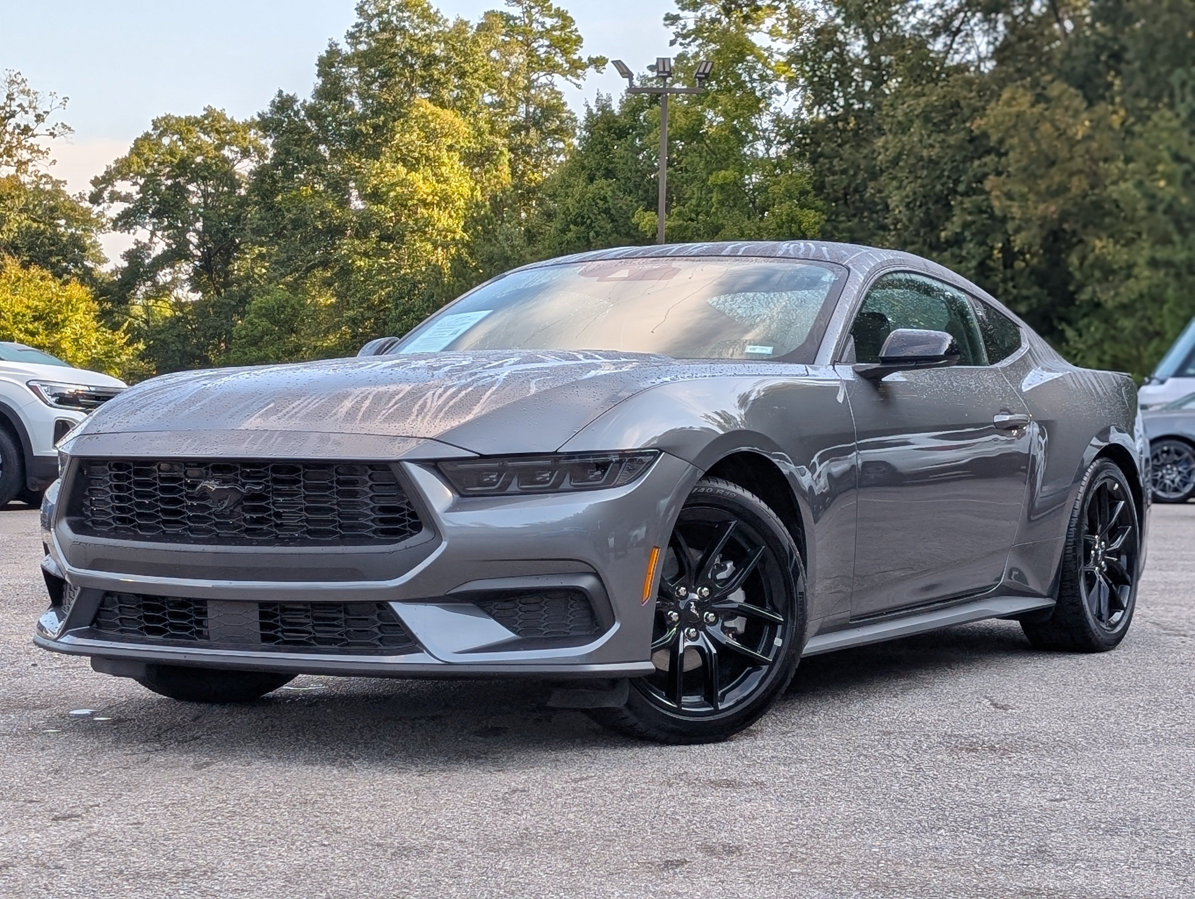 Used 2026 Ford Mustang Coupe w/ Mustang Nite Pony Package RWD image 4