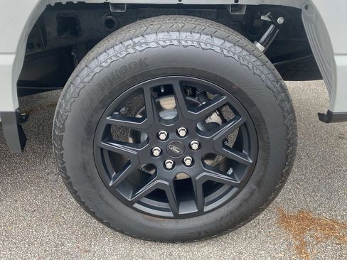 Used 2024 Ford F150 STX w/ STX Black Appearance Package image 13