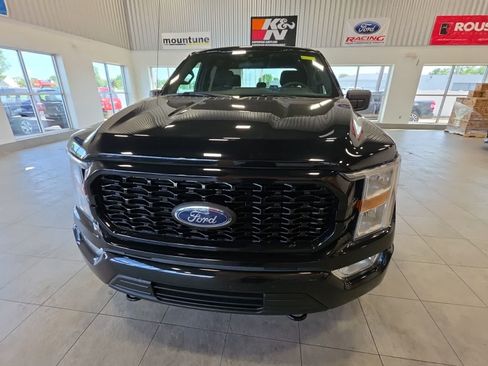Used 2021 Ford F150 XL w/ STX Appearance Package AWD/4WD image 4