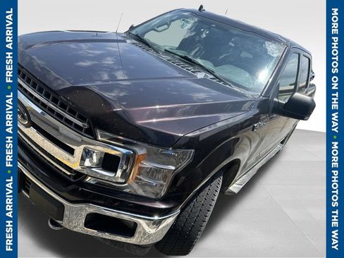 Used 2019 Ford F150 XLT w/ Equipment Group 302A Luxury AWD/4WD image 1