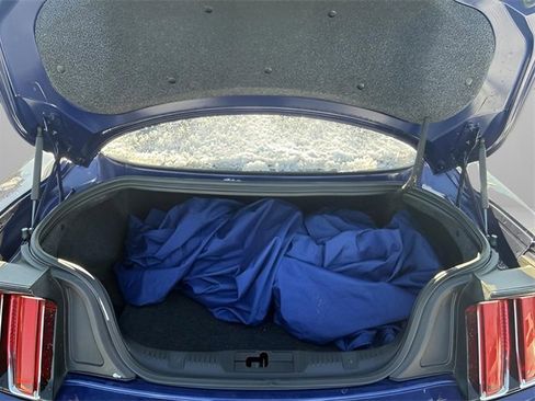 Used 2015 Ford Mustang GT Premium w/ 50 Years Appearance Package image 9