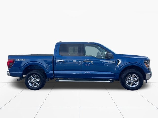 Used 2025 Ford F150 XLT w/ Equipment Group 301A Standard AWD/4WD image 7