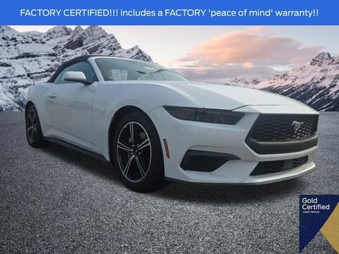 Used 2025 Ford Mustang Premium RWD image 1
