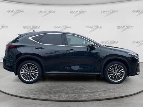 Used 2025 Lexus NX 350h AWD w/ Luxury Package image 8