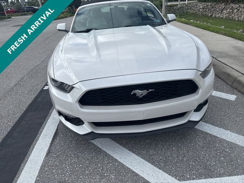 Used 2017 Ford Mustang Premium image 2