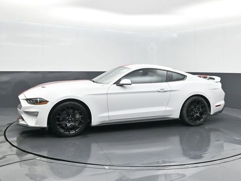 Used 2019 Ford Mustang Coupe w/ Ecoboost Performance Package image 10
