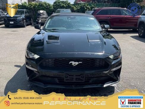 Used 2024 Ford Mustang Premium RWD image 1