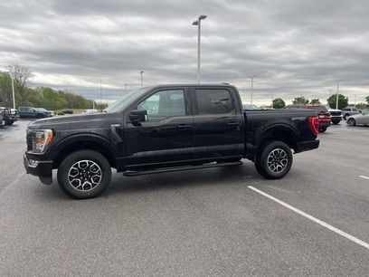 Used 2023 Ford F150 XLT w/ Equipment Group 302A High