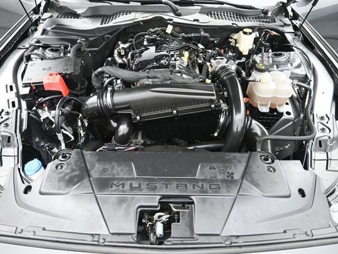 Used 2024 Ford Mustang Premium image 20