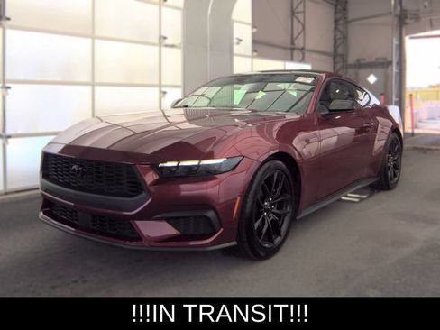 Used 2025 Ford Mustang Premium w/ Mustang Nite Pony Package RWD image 1