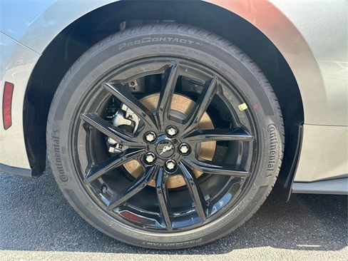 New 2025 Ford Mustang EcoBoost w/ Mustang Nite Pony Package image 14