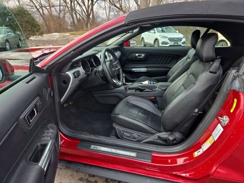 Used 2017 Ford Mustang GT Premium w/ Equipment Group 401A image 8