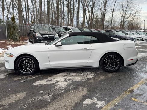 Used 2020 Ford Mustang Premium image 8
