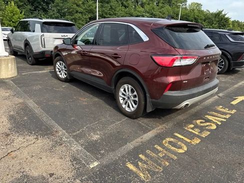 Used 2021 Ford Escape SE w/ Convenience Package AWD/4WD image 7