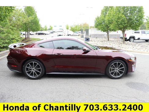 Used 2018 Ford Mustang Premium w/ Equipment Group 201A RWD image 8