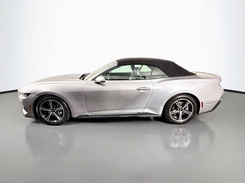 Used 2024 Ford Mustang Premium RWD image 6