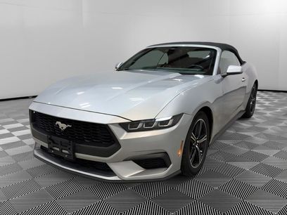 Used 2024 Ford Mustang Premium