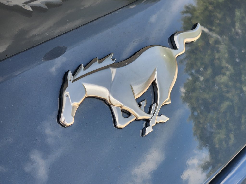 Used 2024 Ford Mustang Coupe RWD image 12