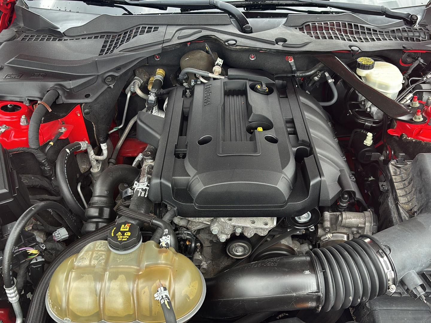 Used 2016 Ford Mustang Premium RWD image 31