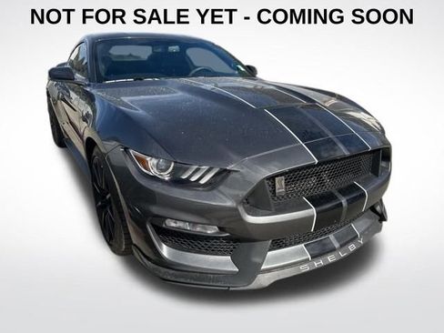 Used 2016 Ford Mustang Shelby GT350 w/ Technology Package image 1