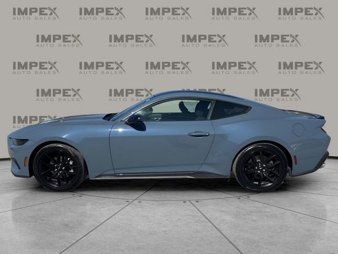 Used 2025 Ford Mustang Coupe w/ Mustang Nite Pony Package image 2