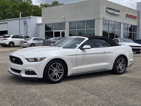 Used 2017 Ford Mustang Premium w/ Equipment Group 201A RWD image 1