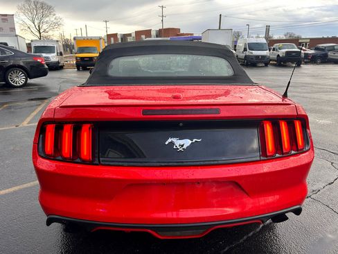 Used 2016 Ford Mustang Premium image 7