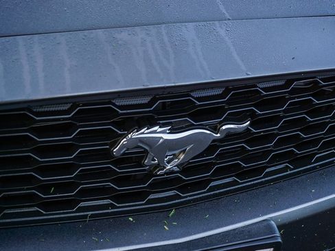 Used 2015 Ford Mustang Coupe w/ Wheel & Stripe Package image 12