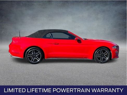 Used 2023 Ford Mustang Premium image 3