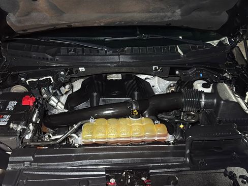 Used 2019 Ford F150 XLT w/ Equipment Group 301A Mid image 19