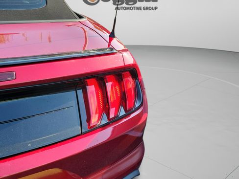 Used 2018 Ford Mustang GT Premium w/ Equipment Group 401A RWD image 19