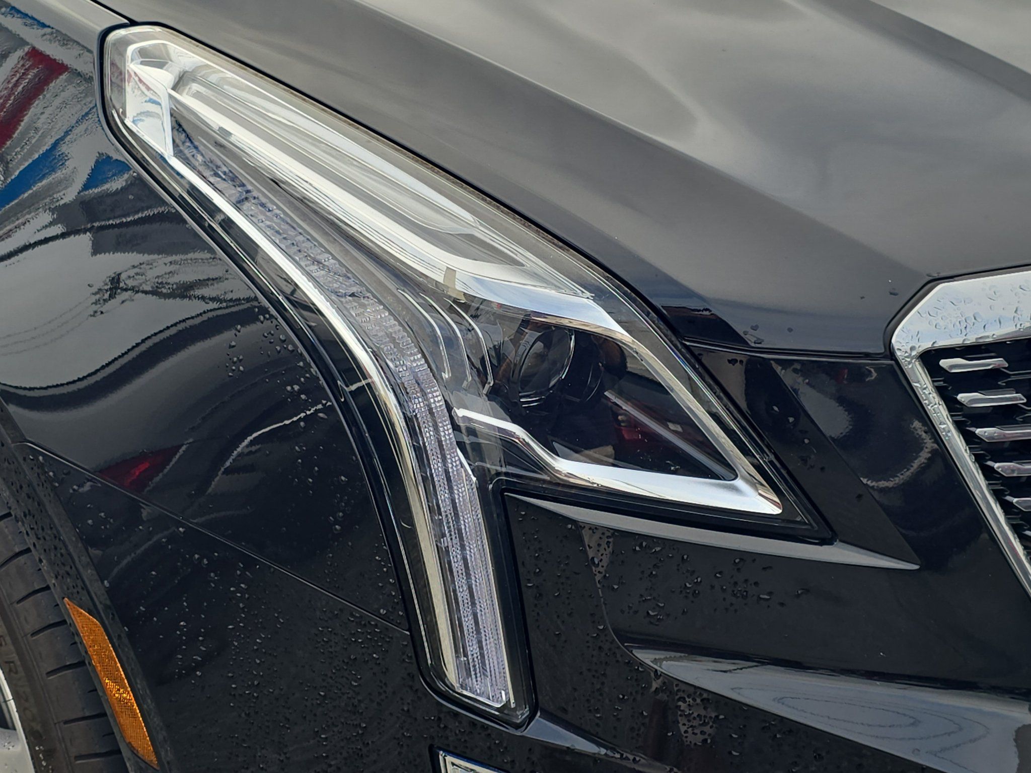 Used 2024 Cadillac XT5 Premium Luxury AWD/4WD image 7