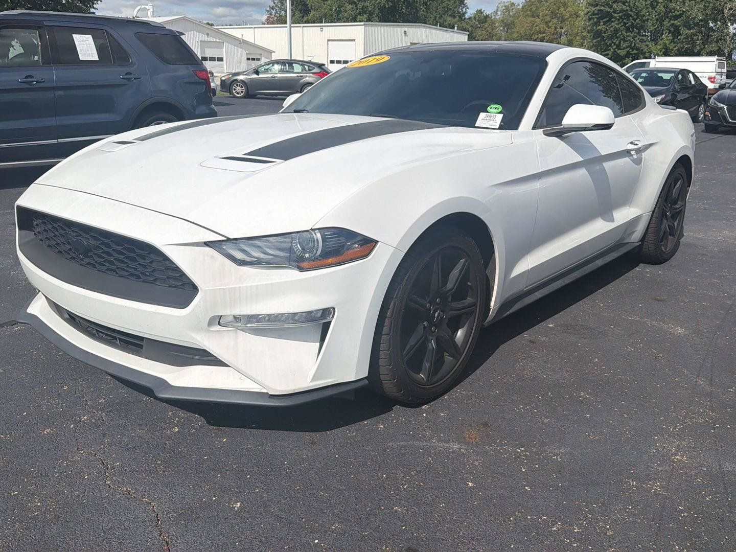 Used 2019 Ford Mustang Premium w/ Black Accent Package RWD image 12