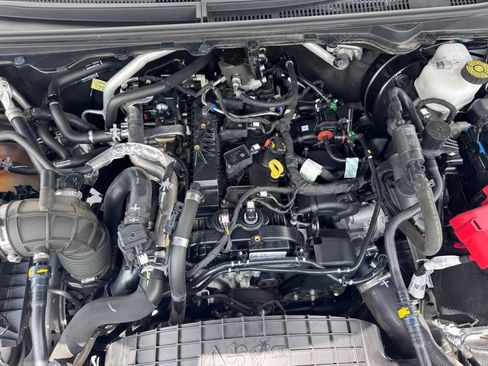 Used 2019 Ford Ranger XLT w/ Equipment Group 301A Mid RWD image 32