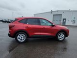 New 2025 Ford Escape Active w/ Tech Pack #1 image 6