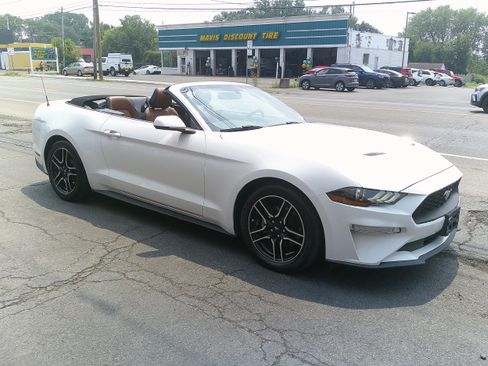 Used 2019 Ford Mustang Premium RWD image 4
