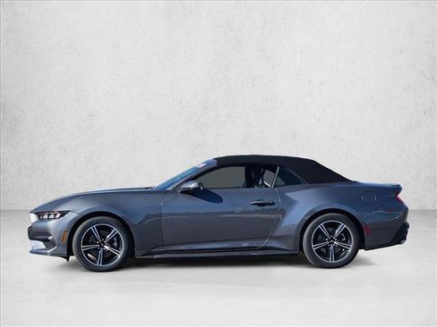 Used 2025 Ford Mustang Premium image 9